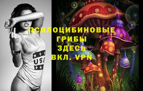 ALPHA-PVP Алексеевка