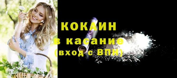 дживик Алзамай