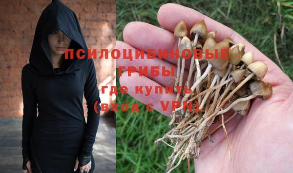 СК Абдулино