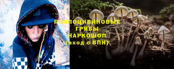дживик Алзамай