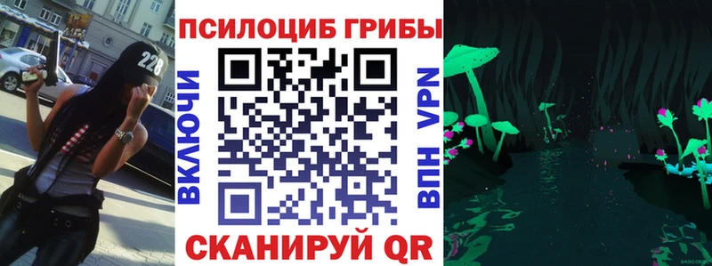 купить наркотик  ссылка на мегу   Псилоцибиновые грибы Cubensis  Мыски 